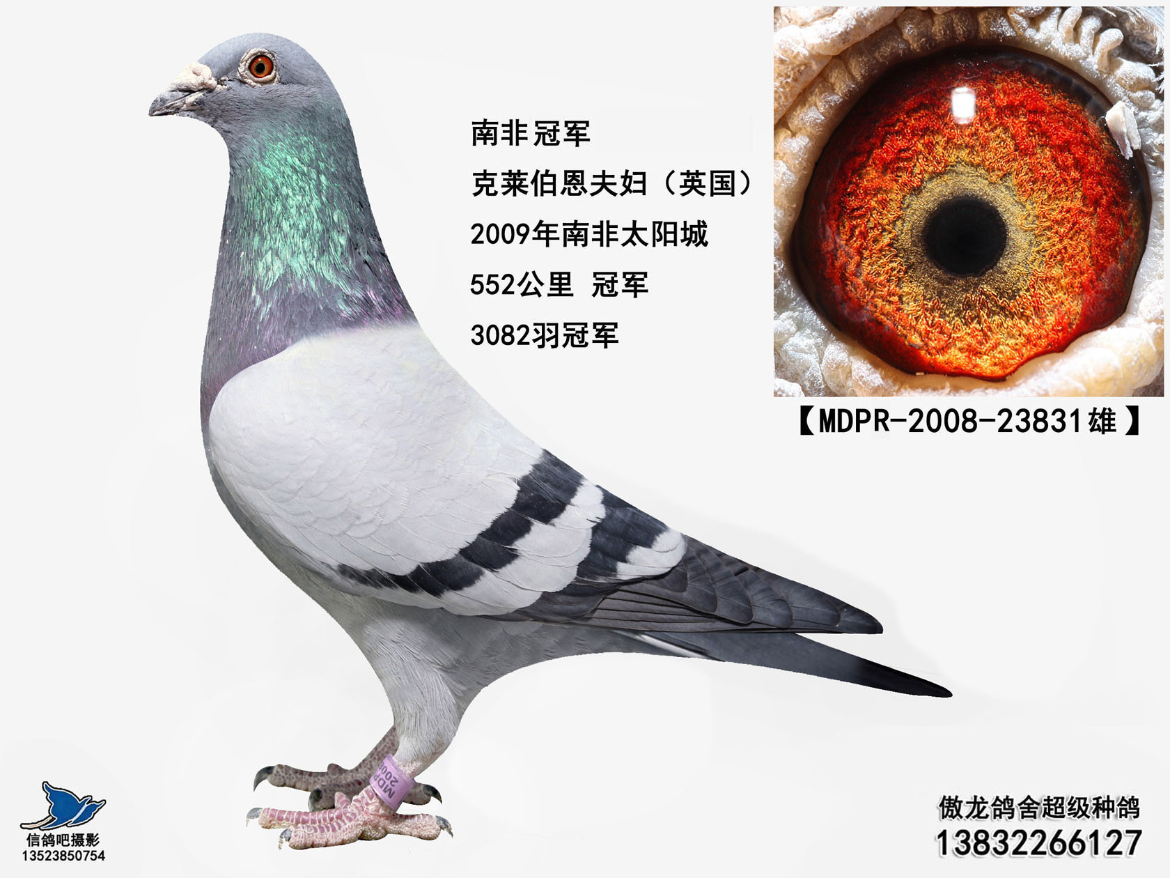 南非足坛传来喜讯！冠军荣光垂直世人